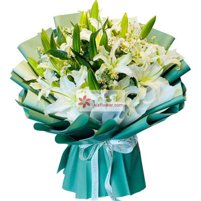 海口8支白色多头百合洋甘菊，如潮的思念